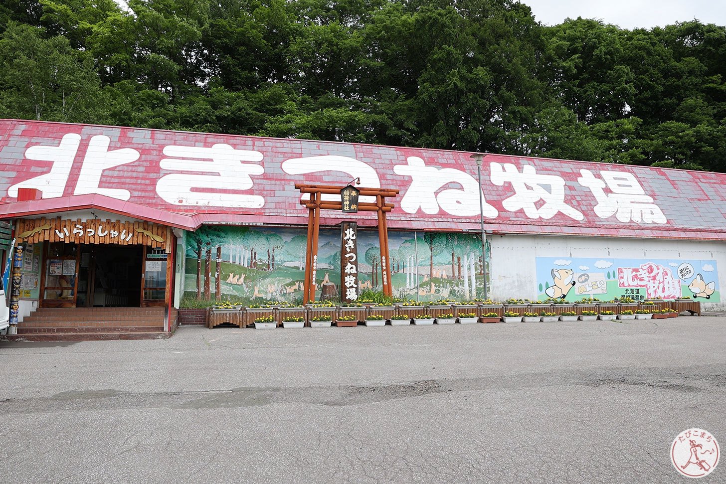 北きつね牧場