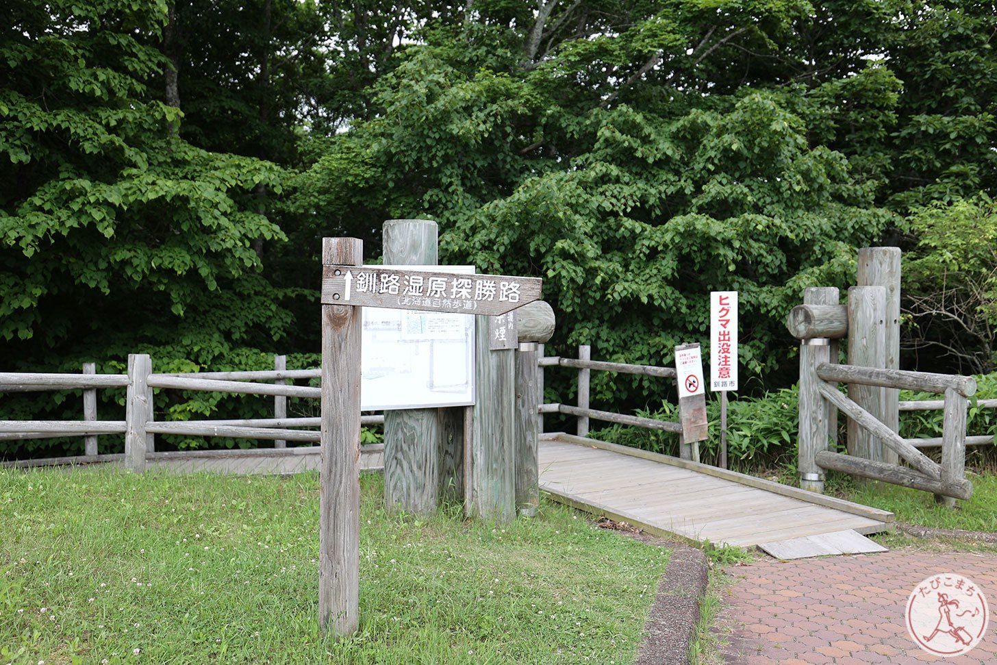 釧路湿原 展望台