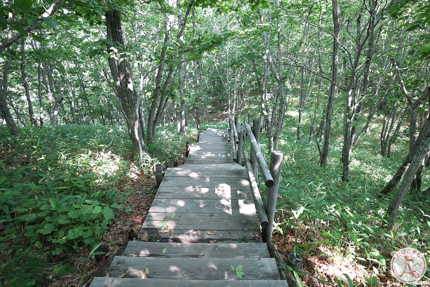 釧路湿原のサテライト展望の先