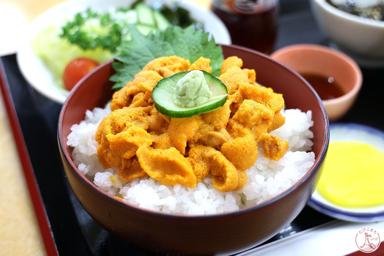 生バフンウニ丼