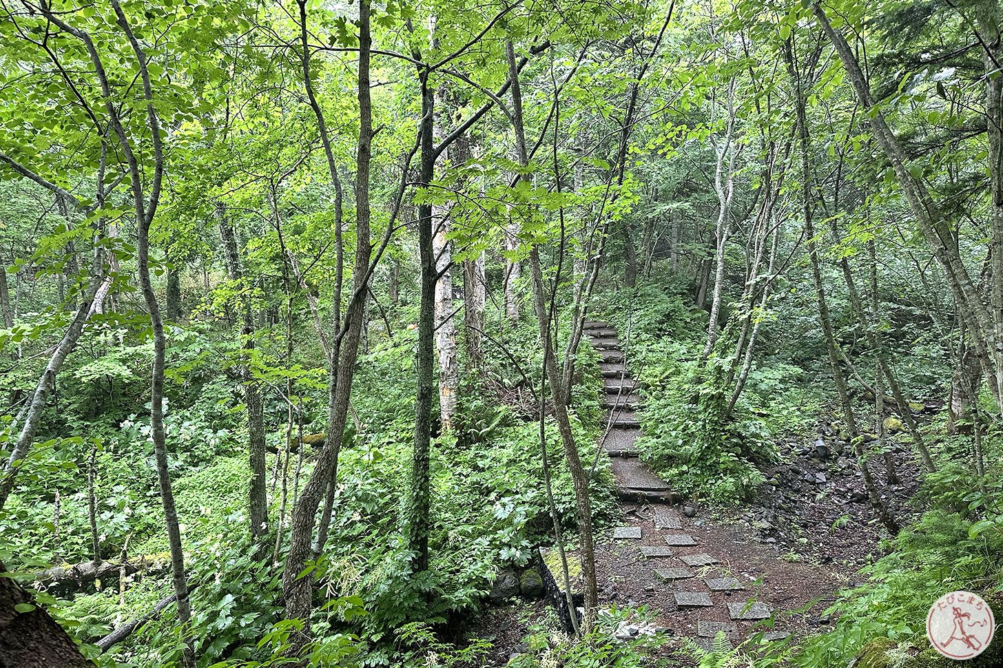 甘露泉水