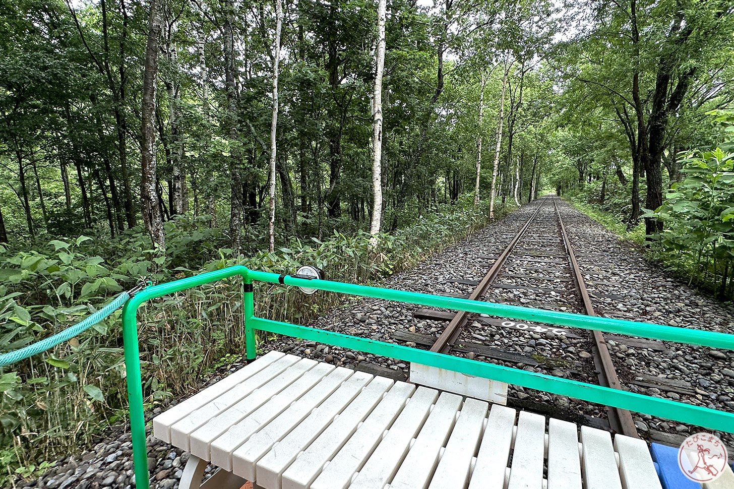 トロッコから見た自然