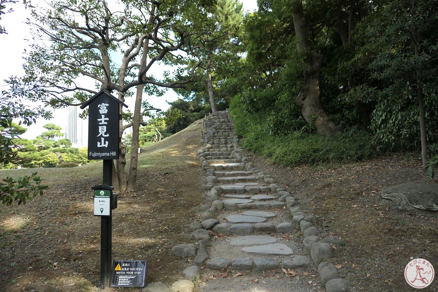 富士見山