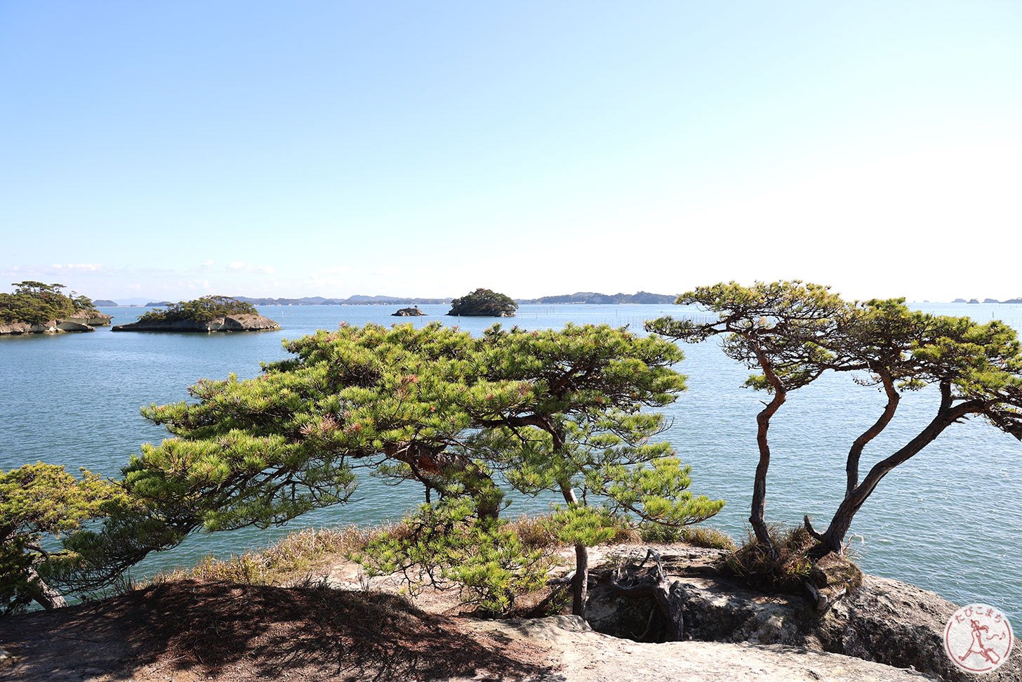 馬の背から見た景色