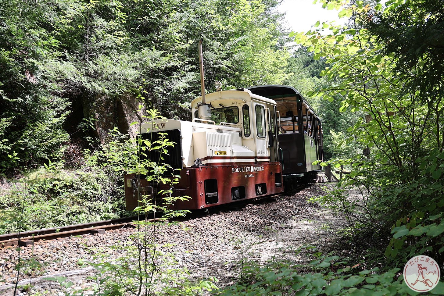 森林の中を走行する赤沢森林鉄道
